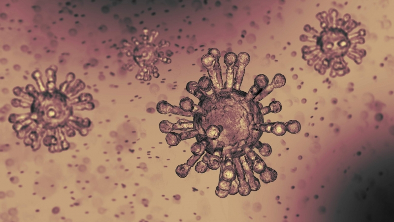 Koronavirüsün kaynağına dair muhtelif teoriler 