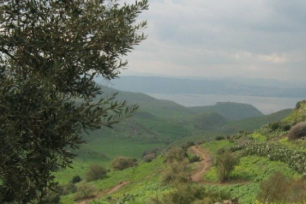 İşgal edilmiş Golan Tepeleri: İsrail Suriye’nin doğal kaynaklarını nasıl sömürüyor?
